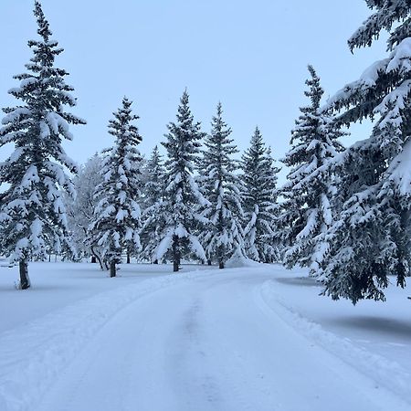 Rolling Hills Country Resort Bed And Breakfast Three Hills Exteriör bild
