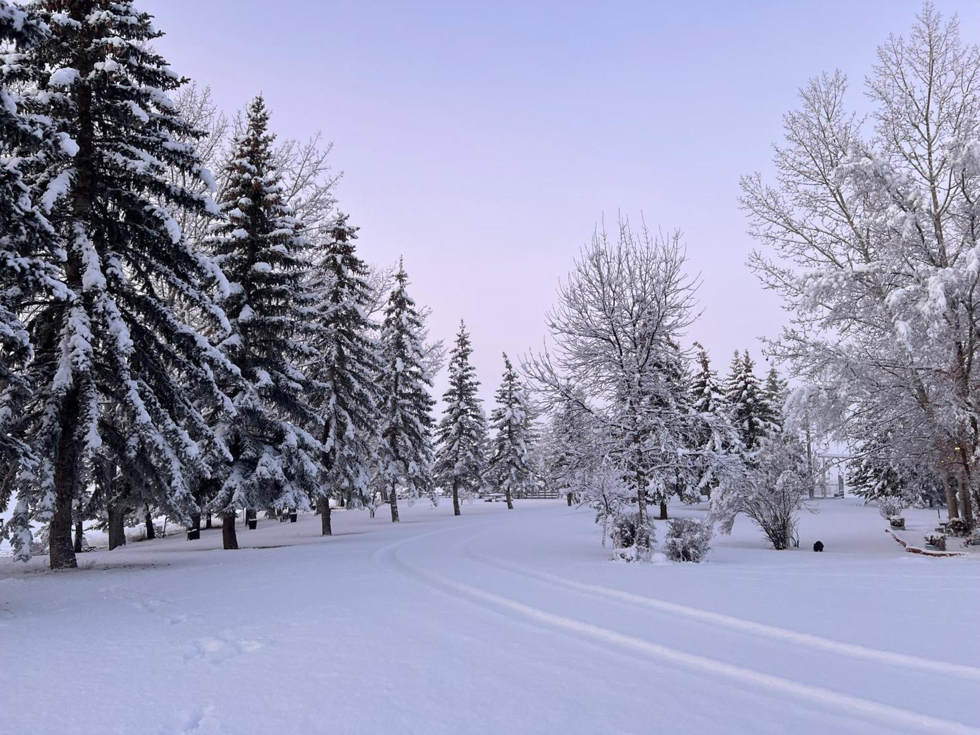 Rolling Hills Country Resort Bed And Breakfast Three Hills Exteriör bild